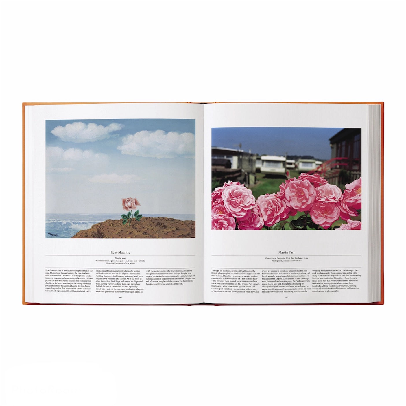 Flower Kitap