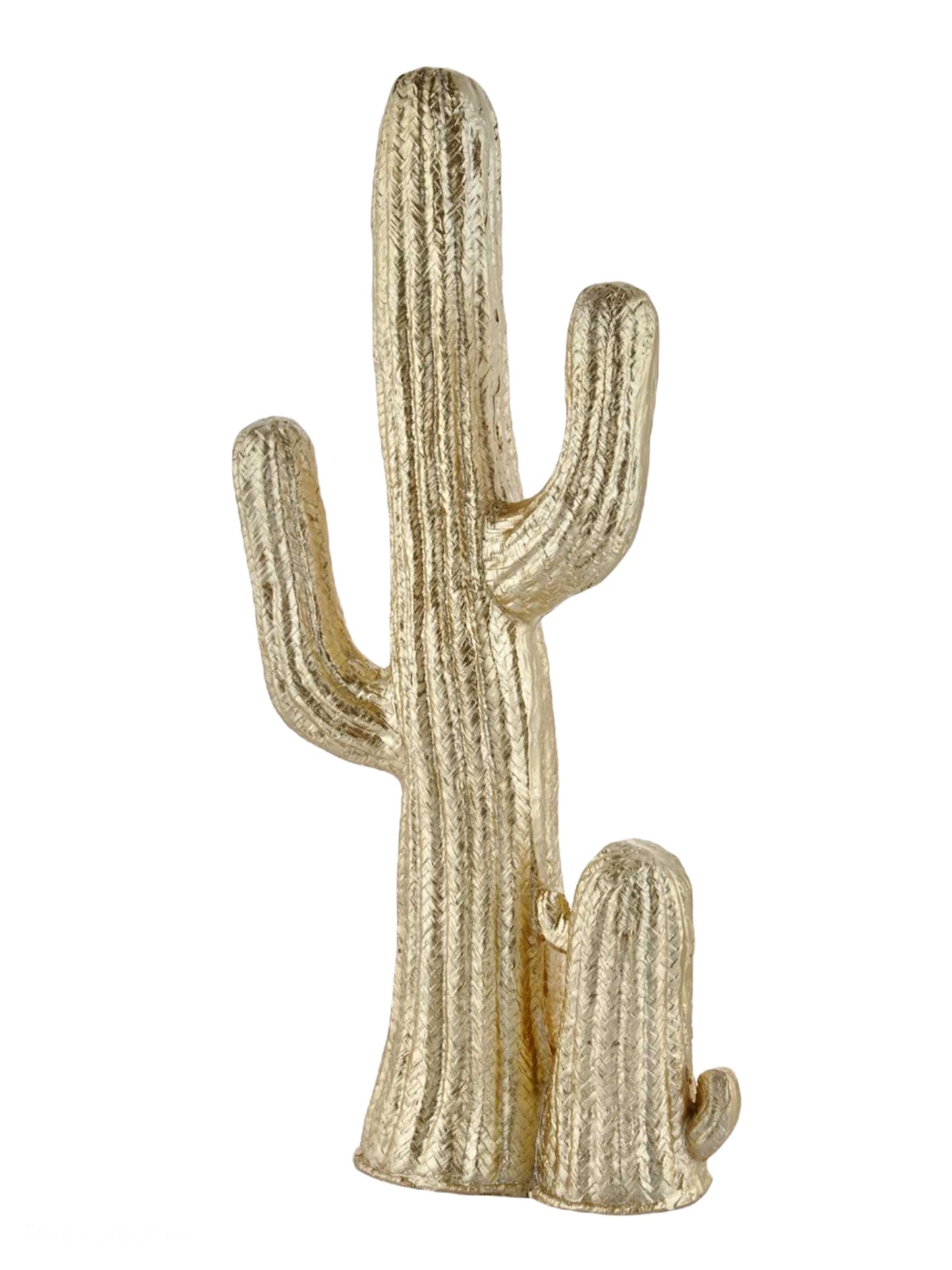 Gold Kaktüs